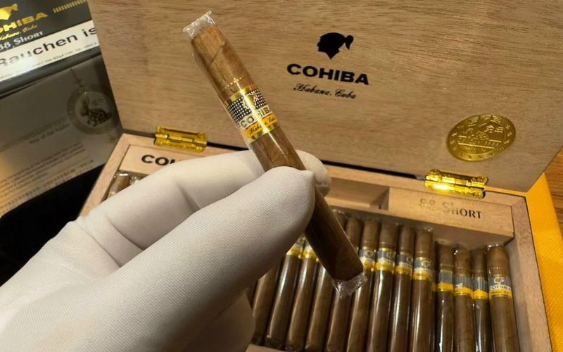 xì gà Cohiba Club 20