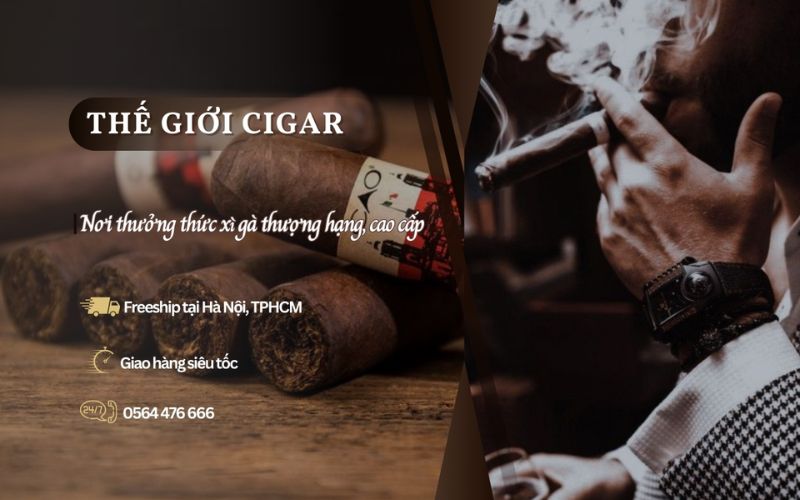 Thế Giới Cigar - Địa chỉ mua xì gà chính hãng và giá tốt