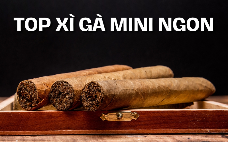 top xì gà mini ngon