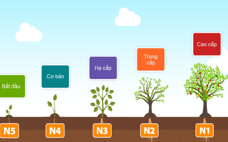 chinh phục trình độ sơ cấp n5-n4