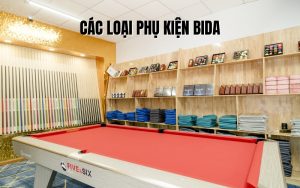 các loại phụ kiện bida