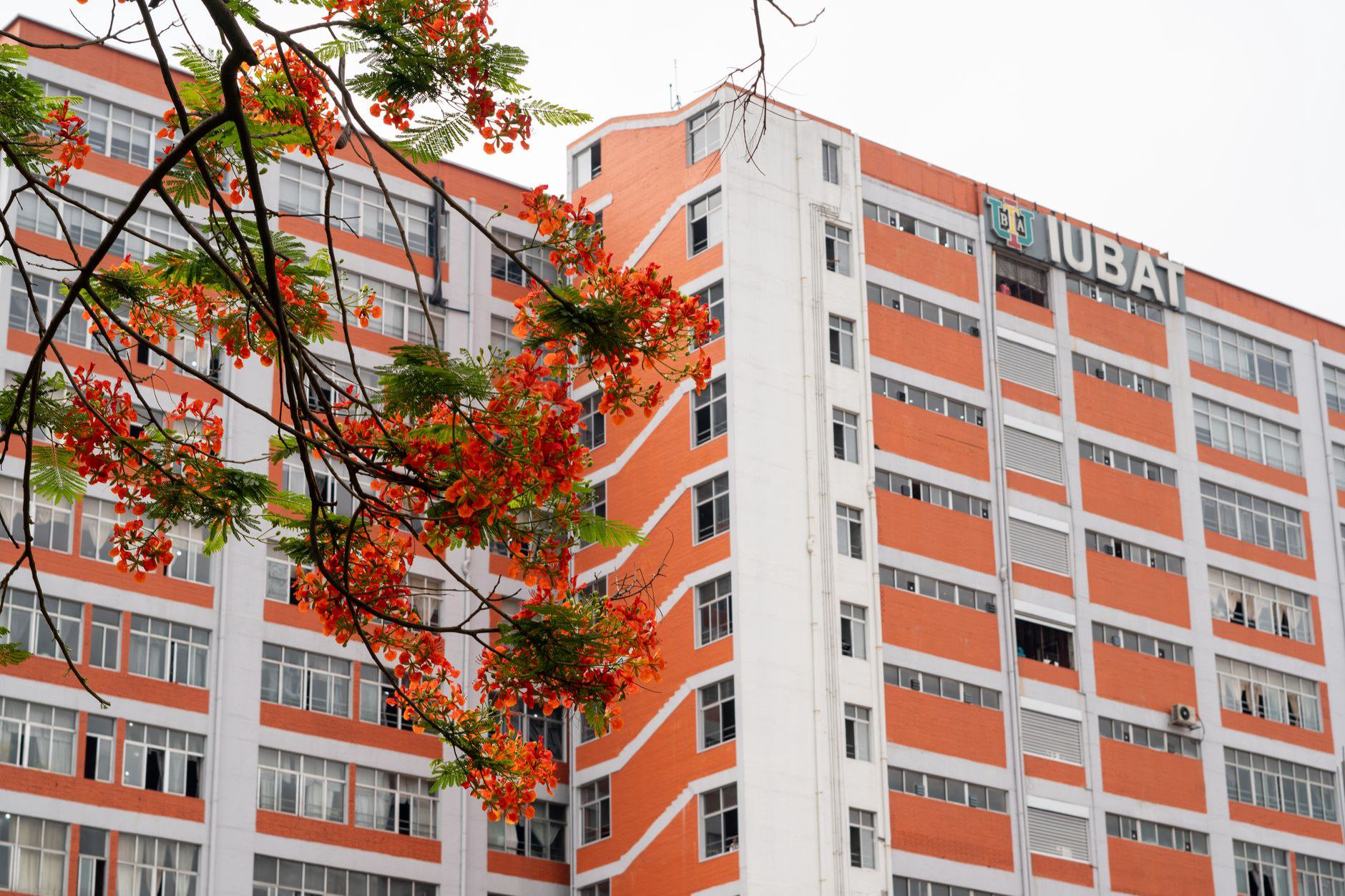 Top 5 trung tâm đào tạo ở Đống Đa nên tham khảo: bắt đầu từ đâu khi chưa biết chọn nhóm nào